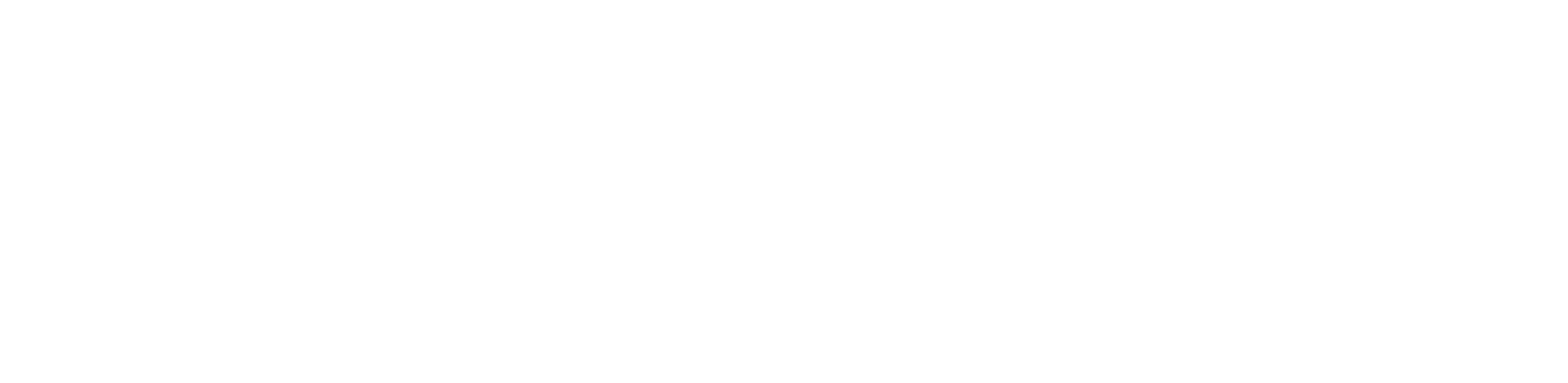 bookmytourism-high-resolution-logo-white-transparent